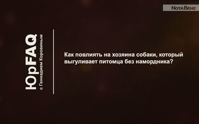 Хозяин выгуливает собаку без намордника