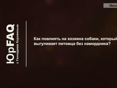 Хозяин выгуливает собаку без намордника