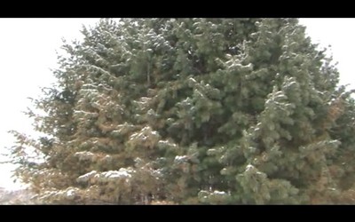Саквояж 12.03.2020