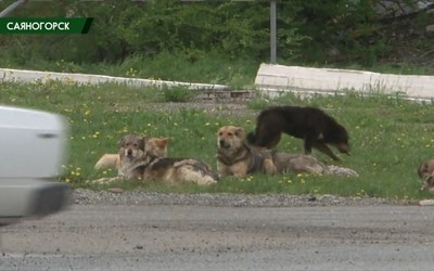 Саяногорск Главный 27.05.21