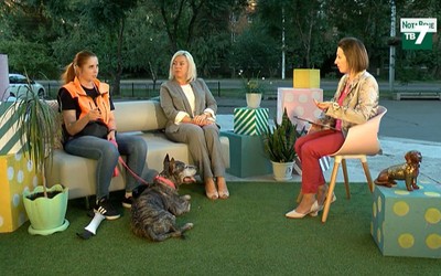 Детали | 24.08.2021