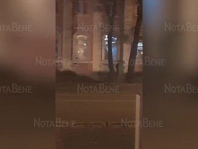 В Абакане неизвестный ночами кружит у ящика помощи животным
