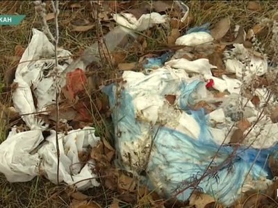 Свалку на Южной дамбе нашли абаканцы