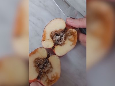 Школьникам в Саяногорске дают гнилые яблоки 