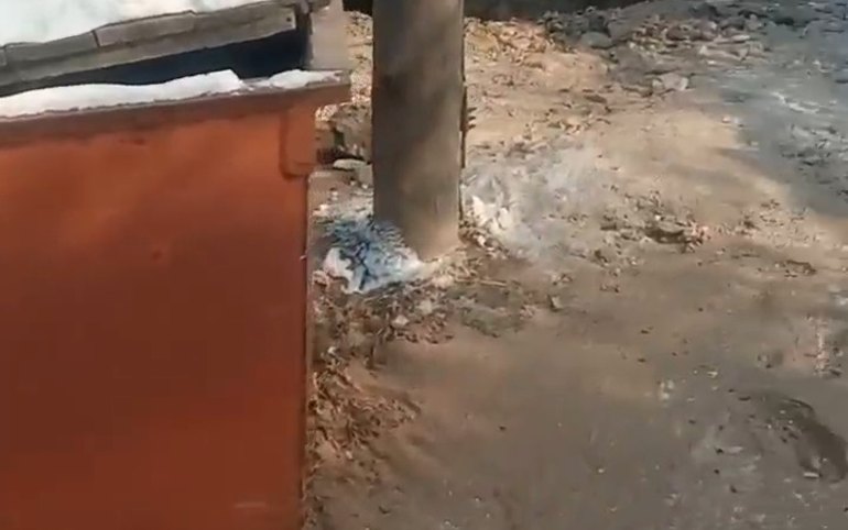Жителям частного сектора Черногорска вернули воду