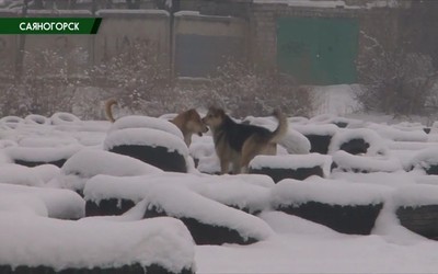 Саяногорск Главный 27.01.22
