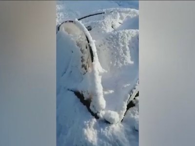 Погода сошла с ума