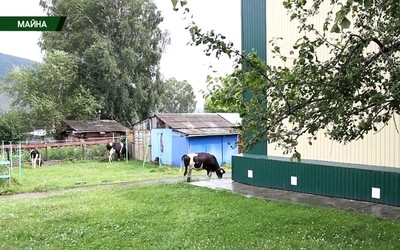 Саяногорск Главный 23.08.22