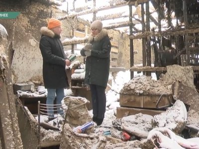 Многодетная семья из Подсинего потеряла в огне всё