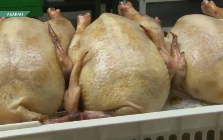 Убойные цеха в Хакасии будут принимать кур, гусей и уток от частников ...