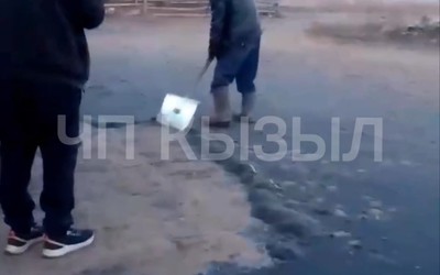 Убирают лопатами: в Туве нашествие мошек. Насекомых полчища 