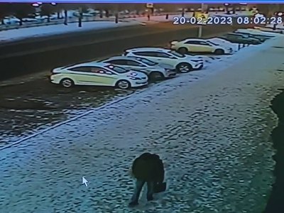 Этим утром на Торговой насмерть сбили женщину 