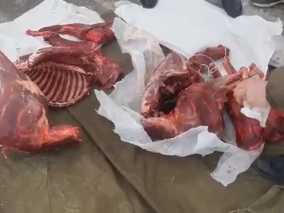 В Ширинском районе поймали браконьеров