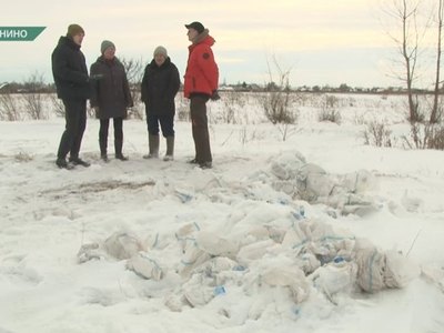 Использованные памперсы нашли в Калинино-2 недалеко от реки Ташеба