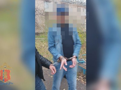 Житель Железногорска украл деньги на поминки кота и сядет в колонию 