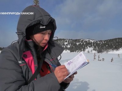 Минприроды Хакасии обеспечило оленей солью