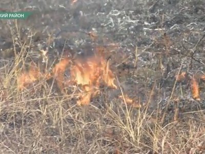 Дым и пламя рядом со Смирновским бором