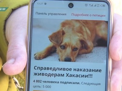 Кадеты-садисты из Чапаево не подлежат уголовному наказанию 