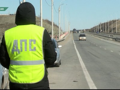 Из-за чумы свиней в Хакасии выставлены блокпосты