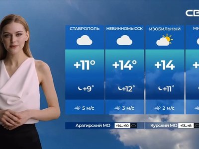 Снежана Туманова: в Ставрополье ведущую сгенерировала нейросеть