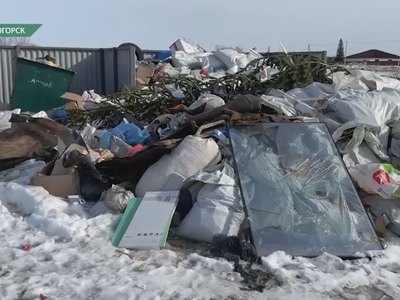 В Саяногорске на двух улицах мусорные площадки превратились в свалки