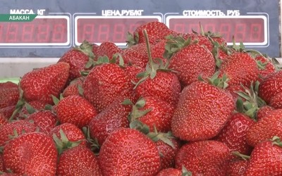 Клубника и черемша появились на прилавках абаканских рынков