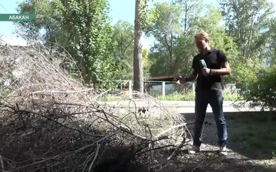 Ветки после июльской бури так и лежат на Торговой