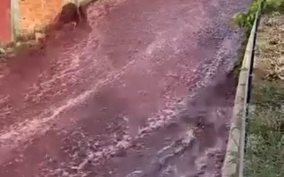 Улицы португальского городка затопило красным вином