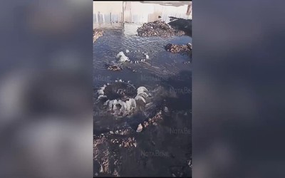 В Молодежном фонтанируют люки. Округу заливает уже не первый день 