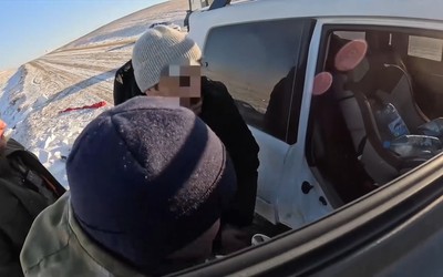 Сирийские браконьеры вновь наведались в Хакасию за соколами 