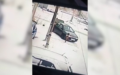 Вышвырнула из машины и уехала: в Саяногорске жестоко избавились от кошки
