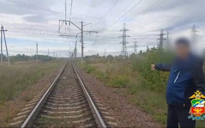 Сборщику конопли грозит 10 лет
