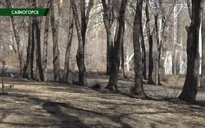 Саяногорск главный 19.03.24