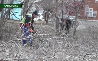 Саяногорск главный 04.04.24