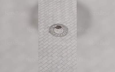 Жители абаканского ЖК жалуются на крыс и горы мусора 