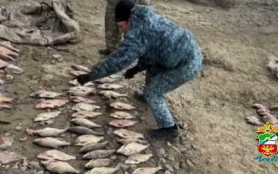 Порыбачили на 200 тысяч: браконьеров поймала транспортная полиция Хакасии 