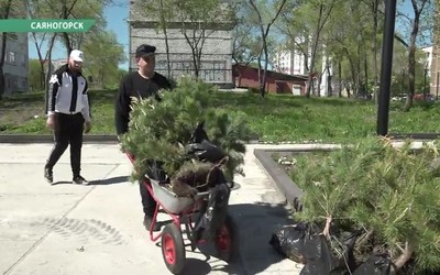 Саяногорск главный 21.05.24