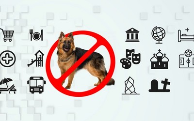 Правительство Хакасии заставляет надевать намордники на пекинесов