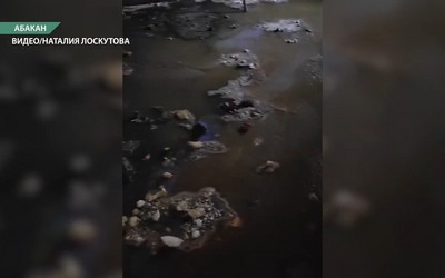 Зловоние в абаканской многоэтажке