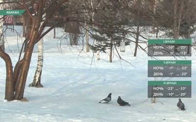 В феврале нас ждут погодные качели