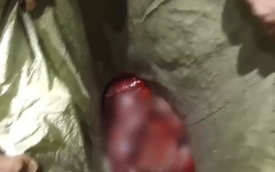 «Мясо нашел»: мужчину с разделанной косулей встретили инспекторы в Усть-Бюрской тайге