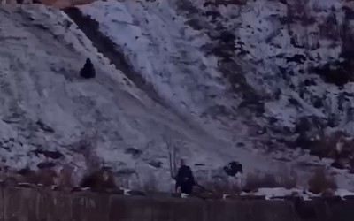 Красноярский школьник на плюшке разбил голову, влетев в крупный камень