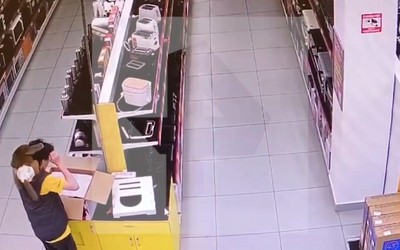 Обезьяна напала на продавца в красноярском магазине бытовой техники