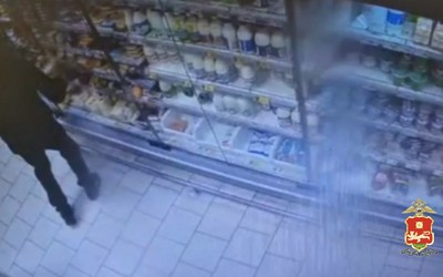 Украл сыр, чтобы купить билет домой