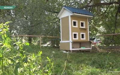 Абаканцы во дворе многоэтажки построили кошкам двухэтажный дом