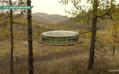 Первый в заповедной России облеточник готов выпускать соколов-балобанов