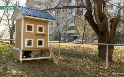 Дом для кошек на Карла Маркса утеплили 