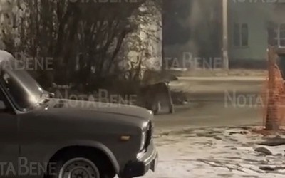 Рысь в Черногорске отловить пока не удалось