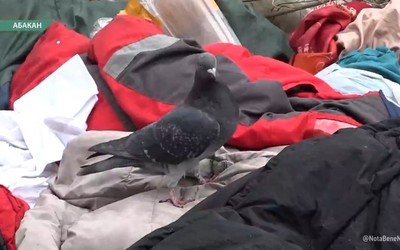 Под окнами медучреждения по улице Ленина бездомный поселился