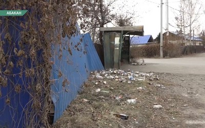 На улице Трактовая остановка утопает в мусоре